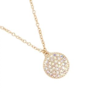 Druzy Gold Charm Necklace